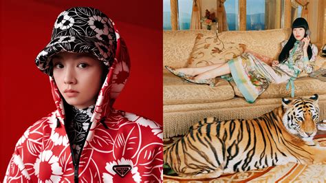 gucci cny 2017 windows|gucci tigers new year.